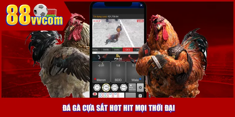 Đá gà cựa sắt hot hit mọi thời đại